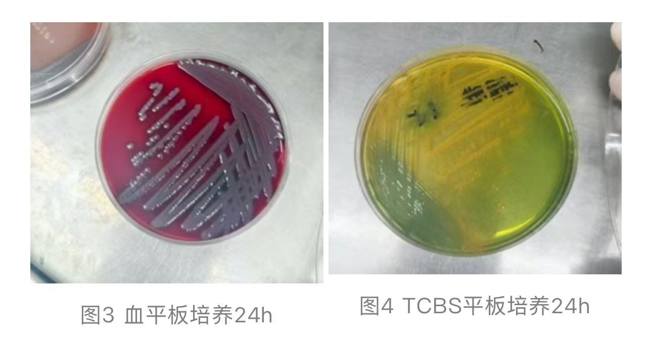 1762992680539165.jpg 1762992680539165.jpg