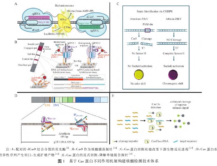 1763348050983508.jpg 1763348050983508.jpg