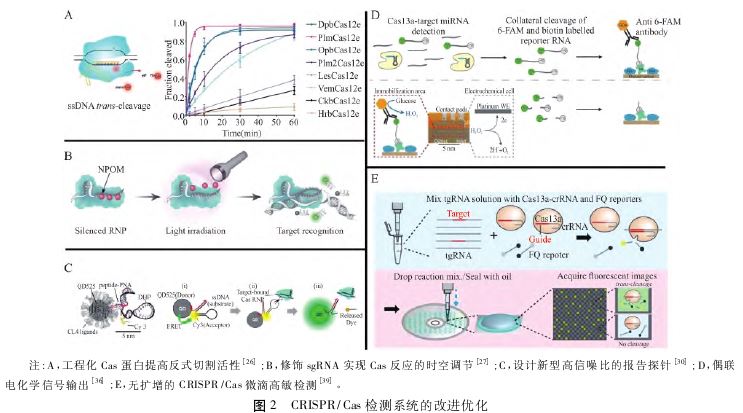 1763348079144022.jpg 1763348079144022.jpg