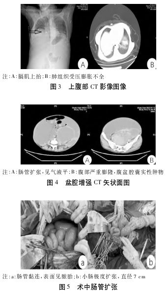 1763624586482965.jpg 1763624586482965.jpg