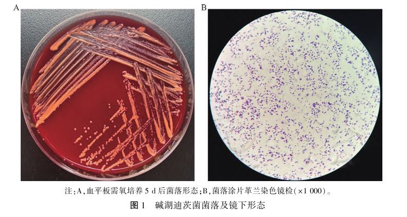 1764643129242427.jpg 1764643129242427.jpg