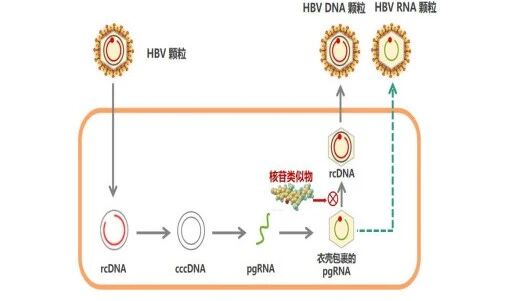 1765416801927922.jpg 1765416801927922.jpg