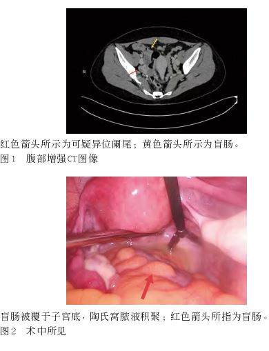 1765499155863539.jpg 1765499155863539.jpg