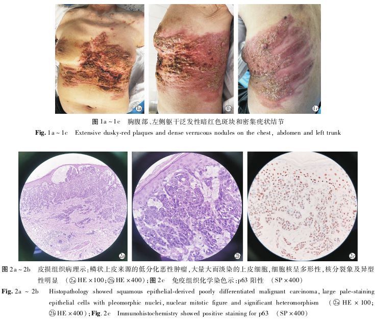 1766022436246098.jpg 1766022436246098.jpg