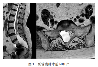 1766026010567671.png 图1.png