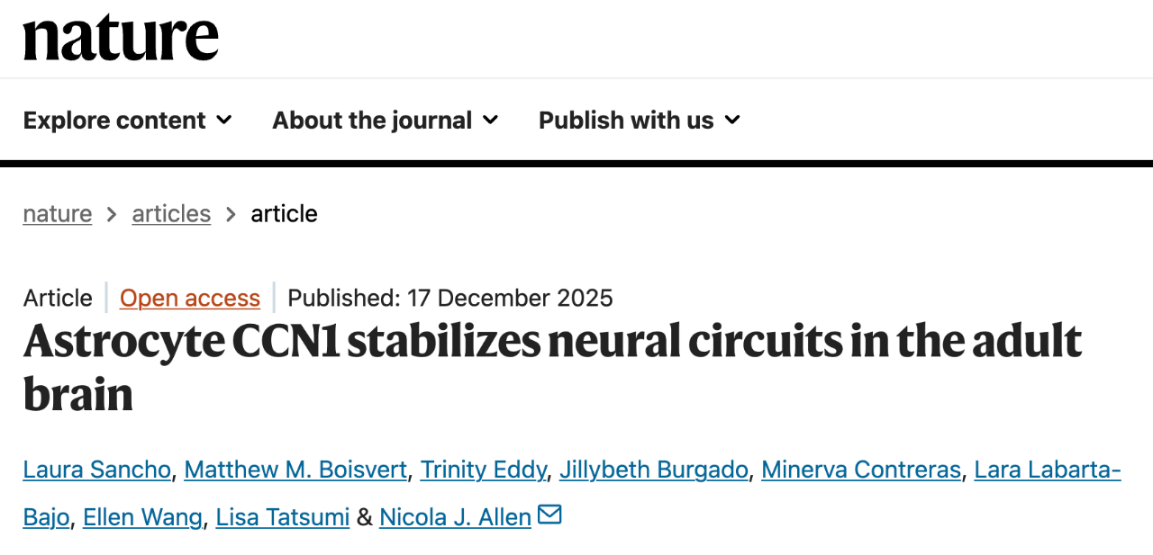 1766826665729069.png 1.png