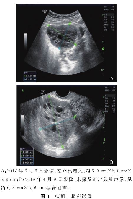 1768184002908721.jpg 1768184002908721.jpg