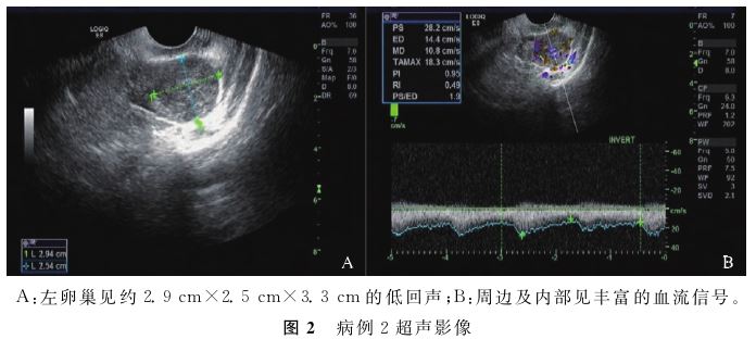 1768184023722093.jpg 1768184023722093.jpg