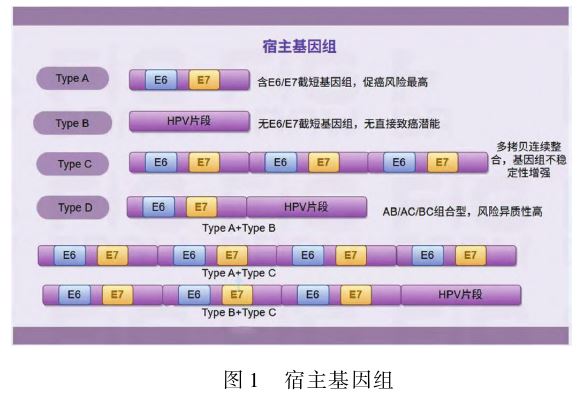 1770603182111499.jpg 1770603182111499.jpg