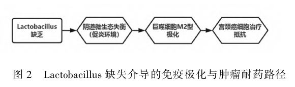 1770603190579941.jpg 1770603190579941.jpg