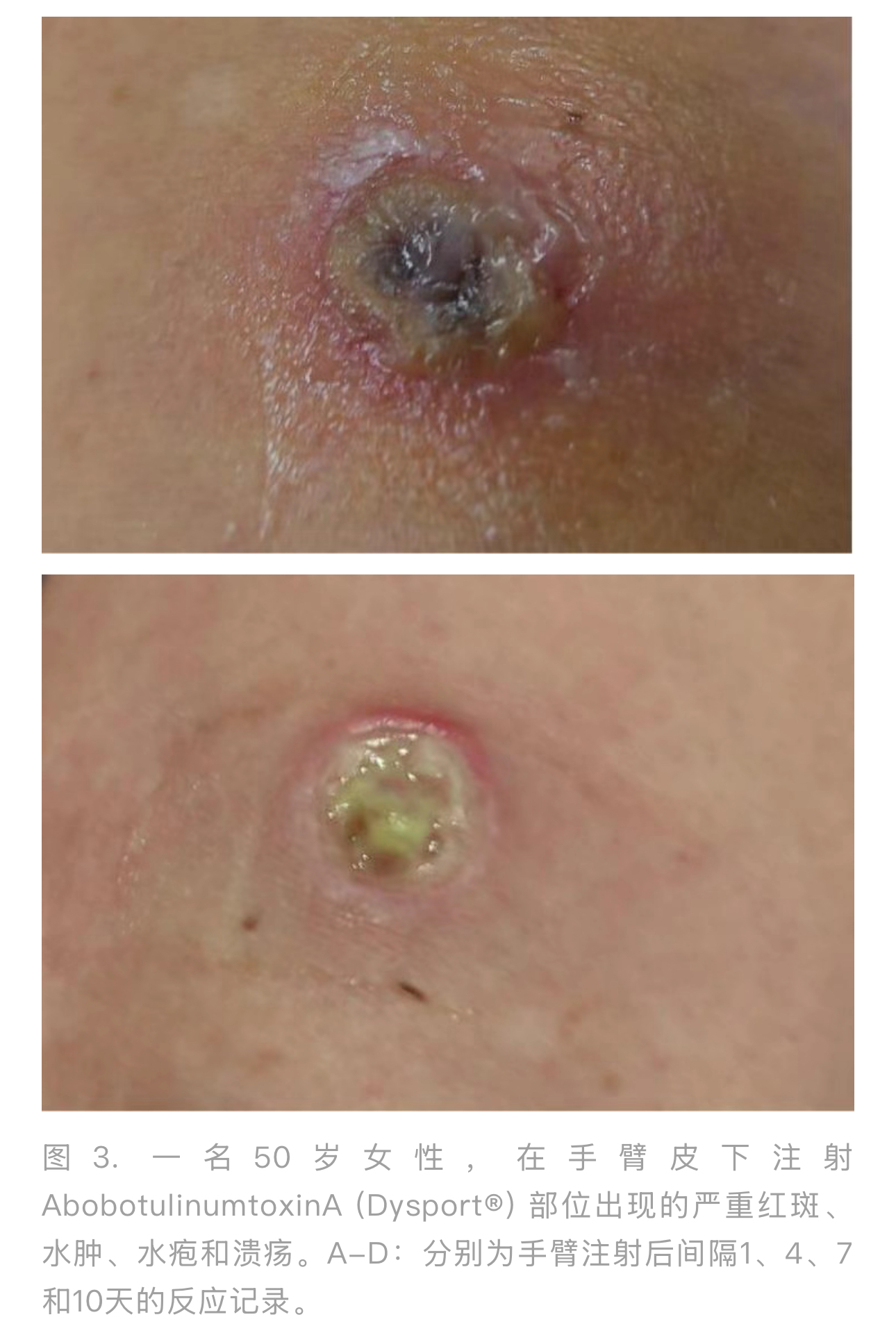 1770687651909575.jpg 1770687651909575.jpg