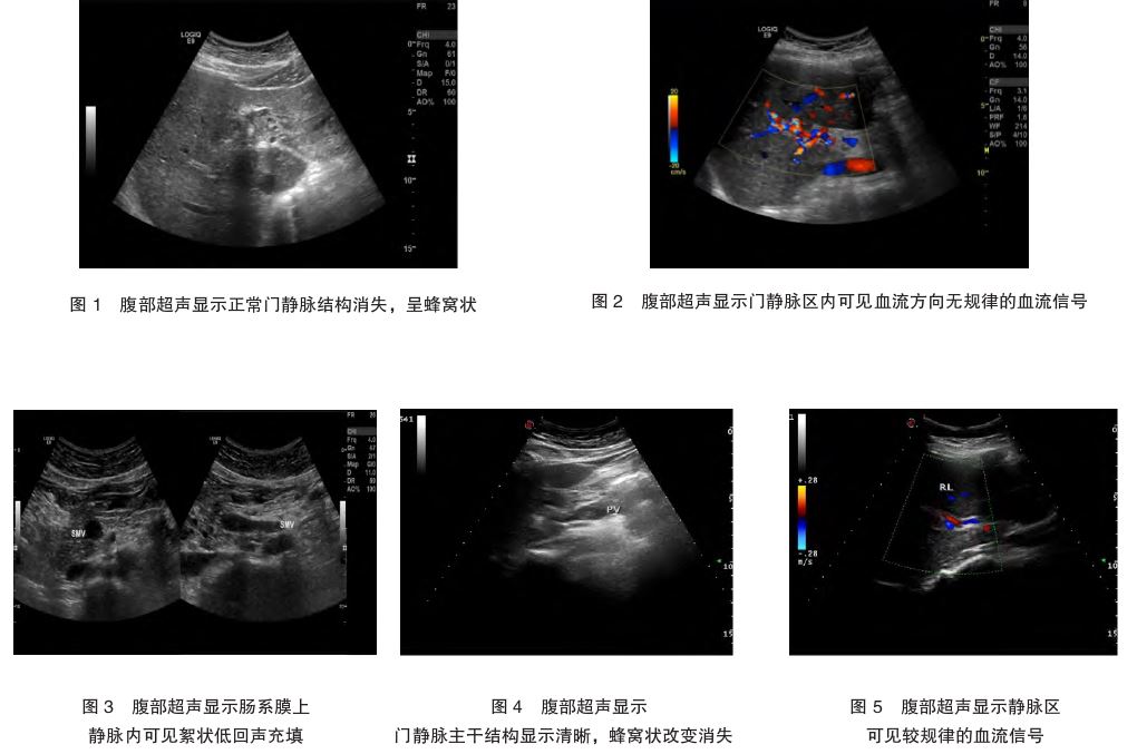 1772430446587648.jpg 1772430446587648.jpg