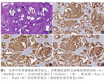 1772434374887043.jpg 1772434374887043.jpg