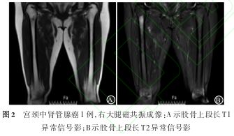 1772434384112618.jpg 1772434384112618.jpg