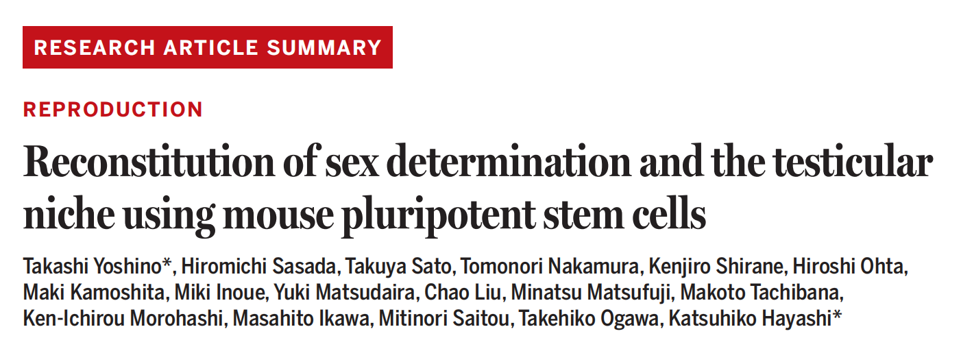 1772512427618912.png 6968d144e8cdc3bef33780efbdc7f684.png