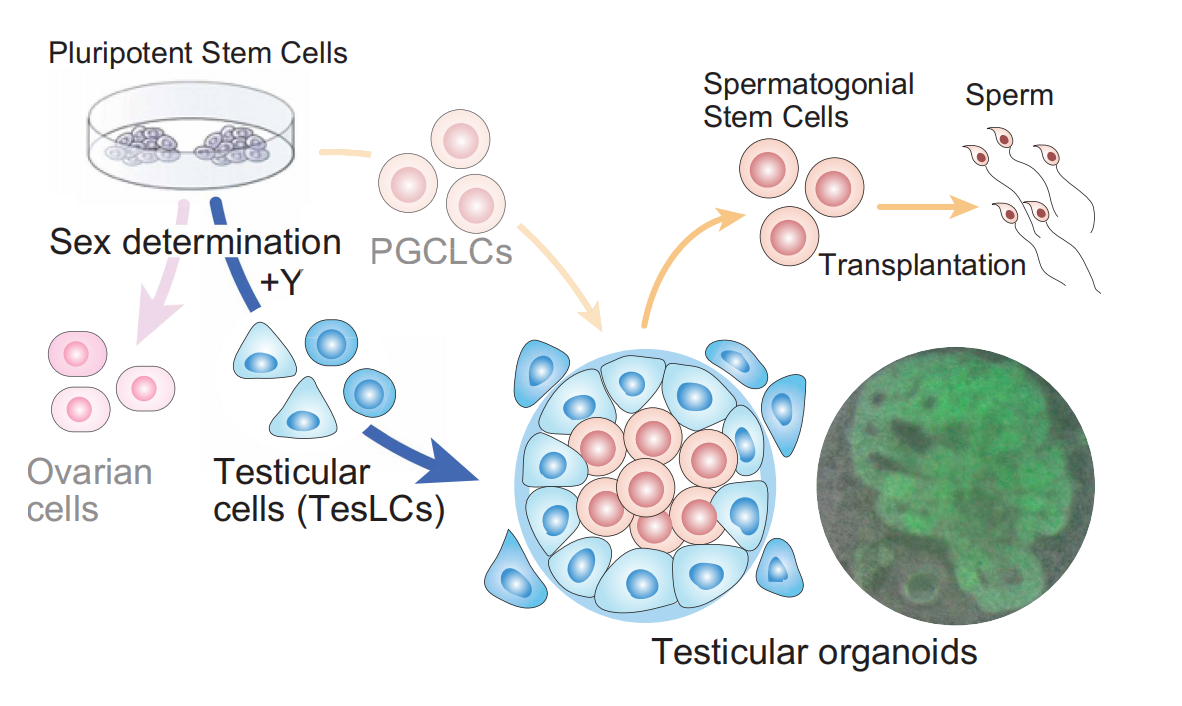 1772512496320389.png 09796d591a2cdaff0cbc937daf006b81.png