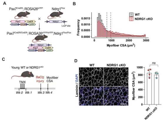 1772673218313840.jpg 1772673218313840.jpg