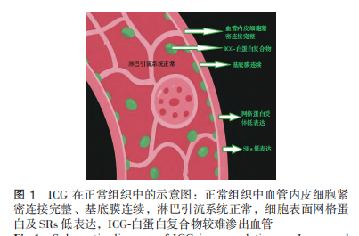 图1.png