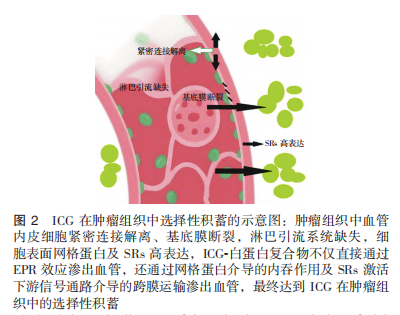 图2.png