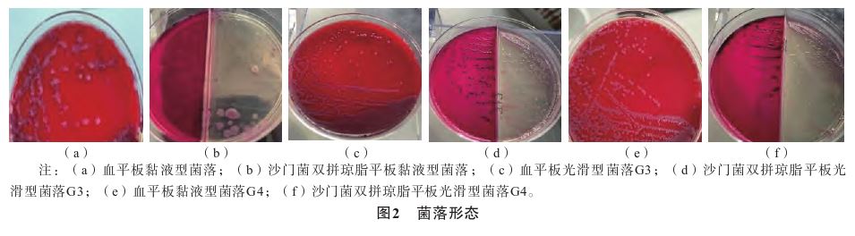 1773276175777738.jpg 1773276175777738.jpg