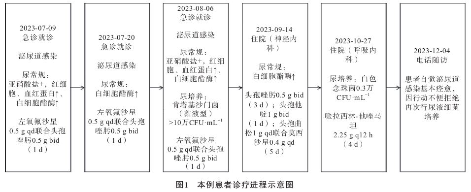 1773276184971637.jpg 1773276184971637.jpg