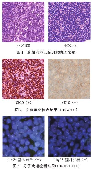 1773370055493148.jpg 1773370055493148.jpg