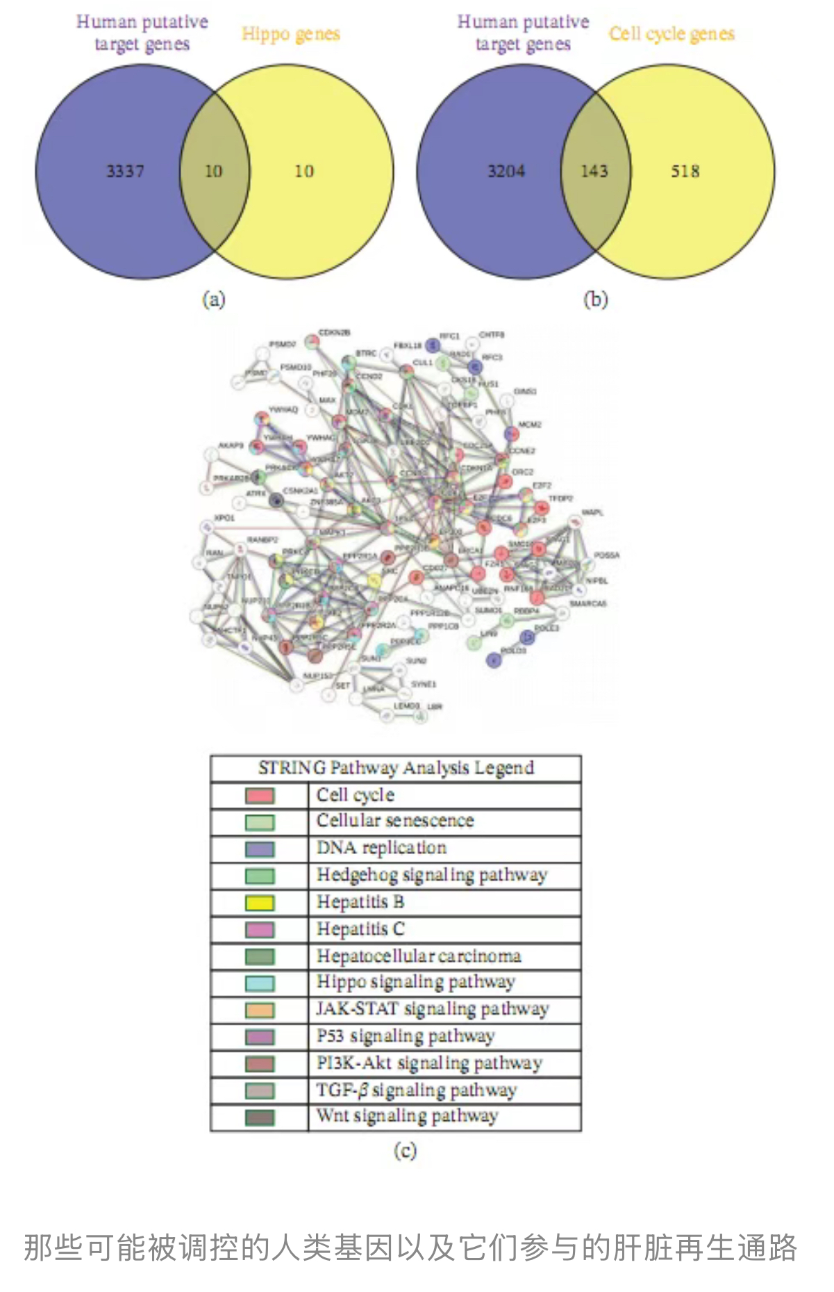 1773387080570737.jpg 1773387080570737.jpg