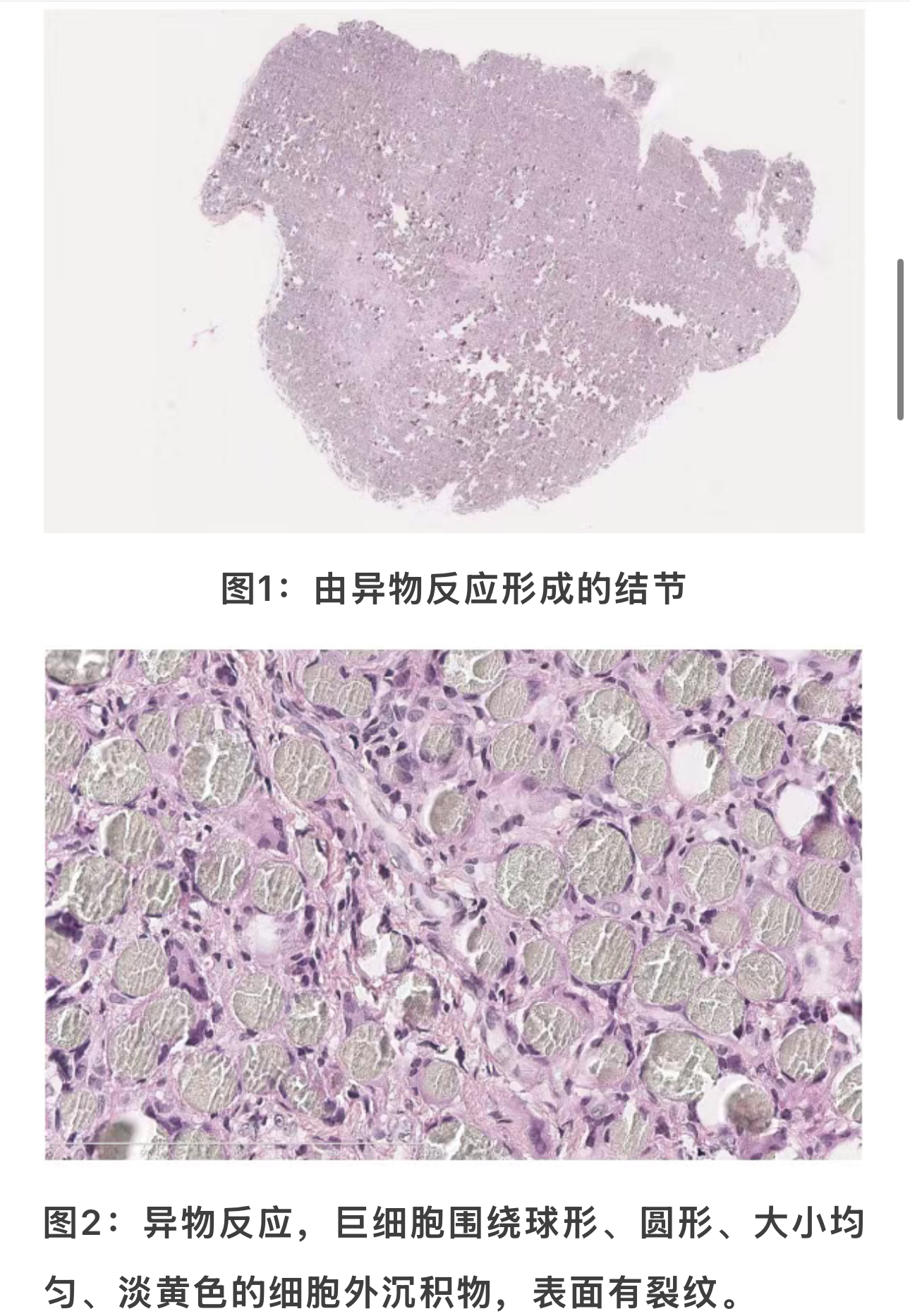 1773387778347287.jpg 1773387778347287.jpg