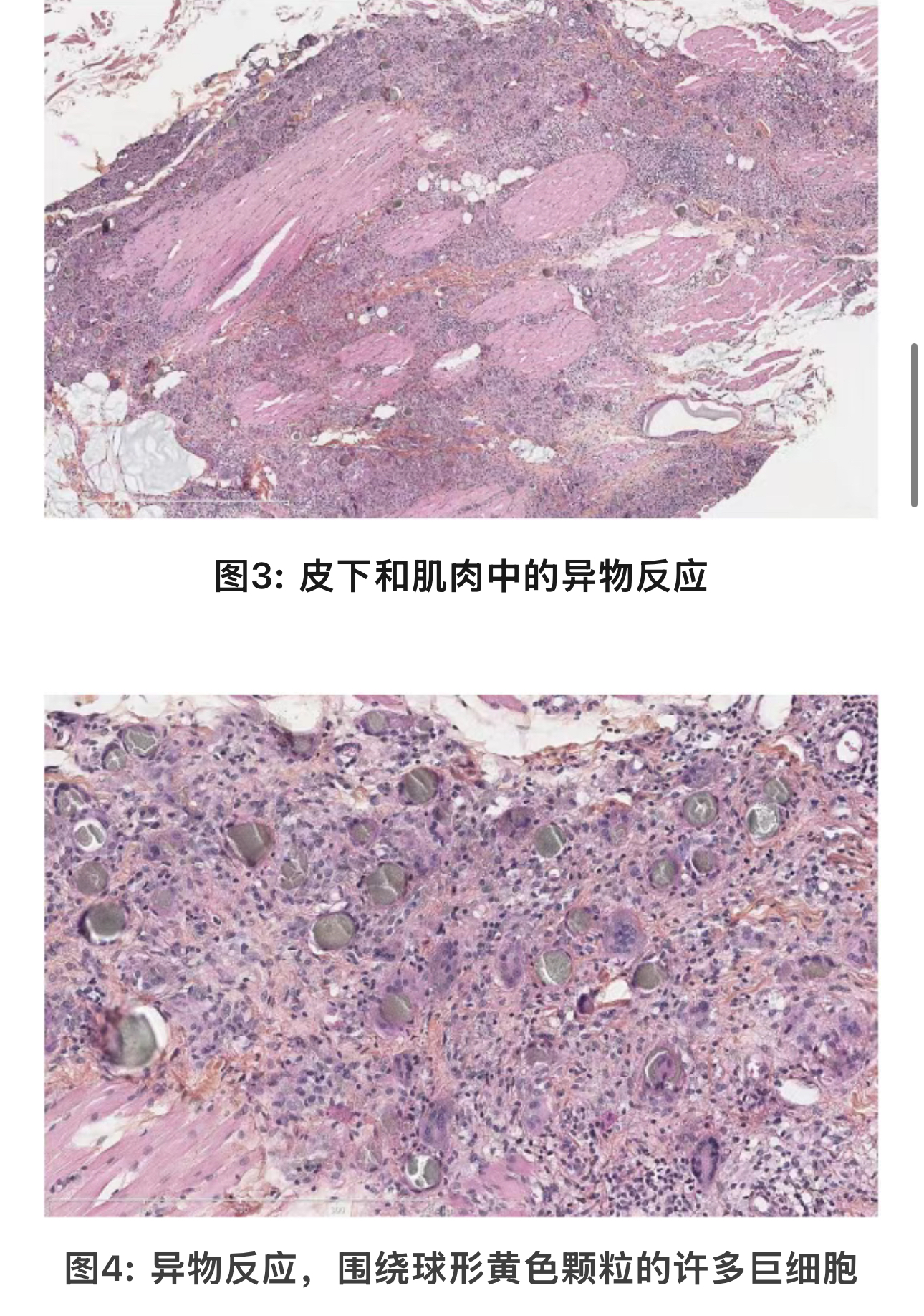 1773387797972888.jpg 1773387797972888.jpg