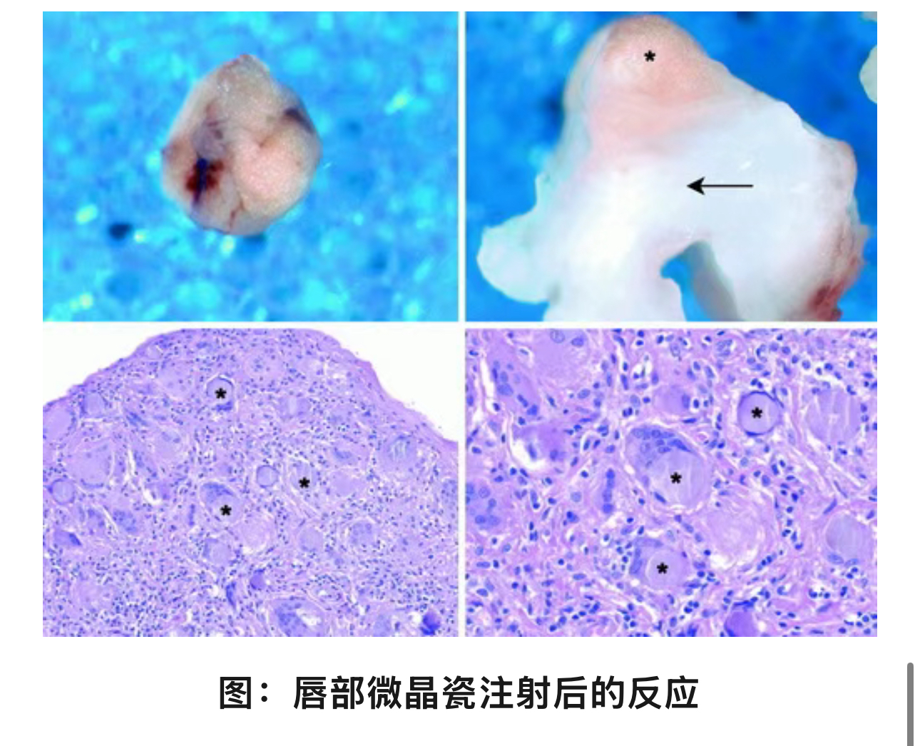 1773387824287827.jpg 1773387824287827.jpg