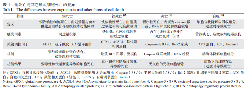 1773388701258397.png 表1.png