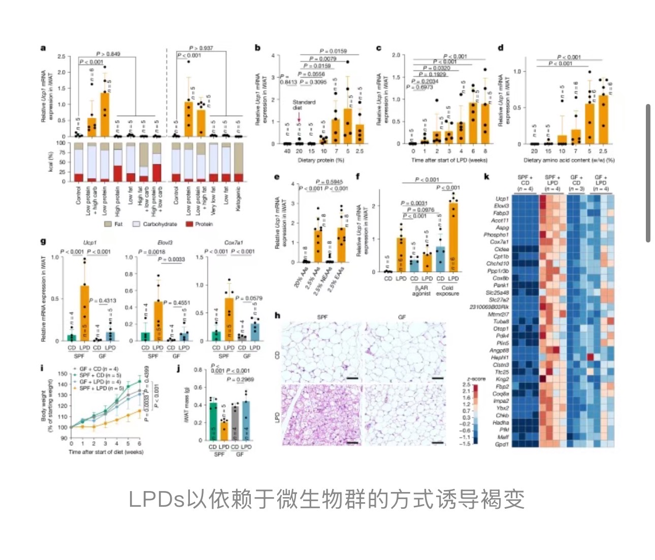 1773389010347057.jpg 1773389010347057.jpg