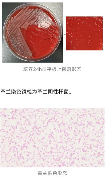 1773628992177808.jpg 1773628992177808.jpg