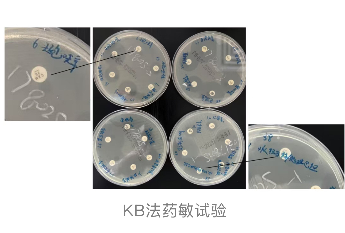 1773629002847960.jpg 1773629002847960.jpg