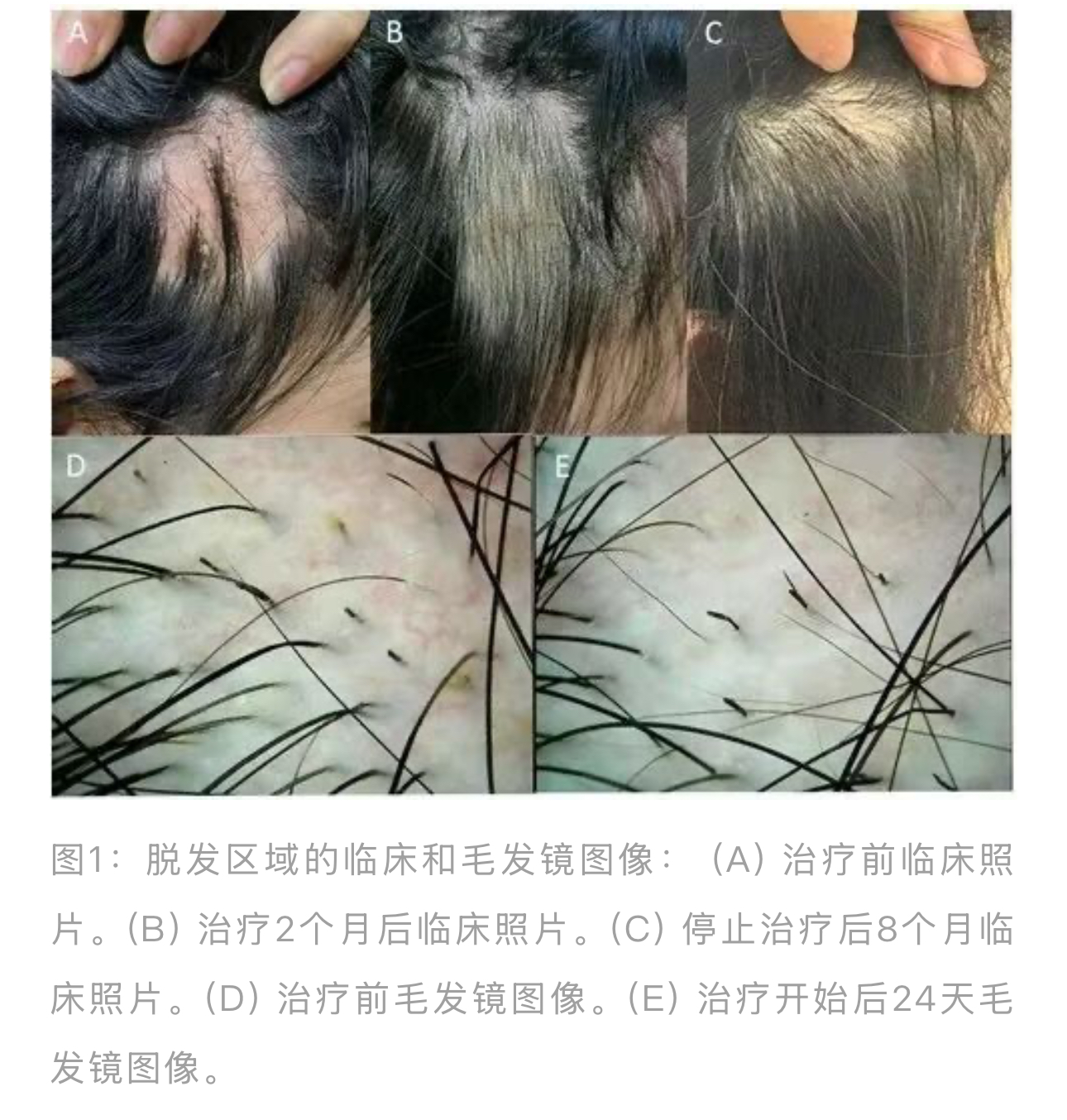 1773717931414502.jpg 1773717931414502.jpg