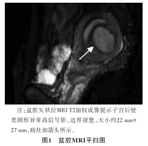 1773976931990659.jpg 1773976931990659.jpg