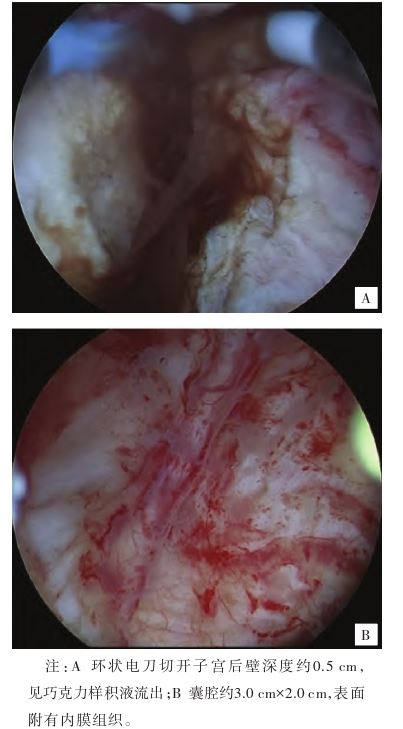 1773976947757319.jpg 1773976947757319.jpg