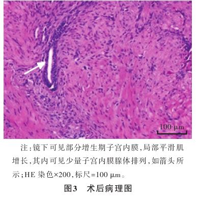 1773977010359345.jpg 1773977010359345.jpg