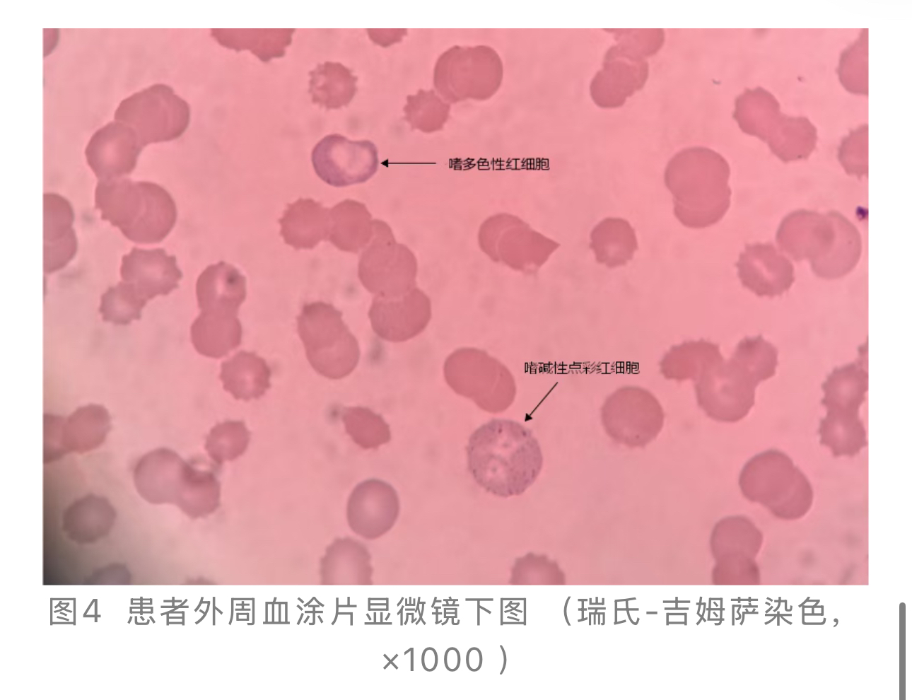 1774245483668957.jpg 1774245483668957.jpg