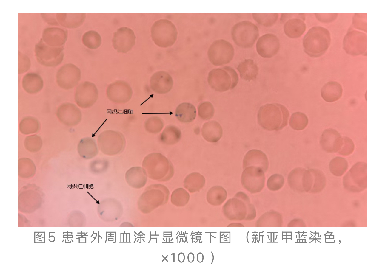 1774245494537046.jpg 1774245494537046.jpg