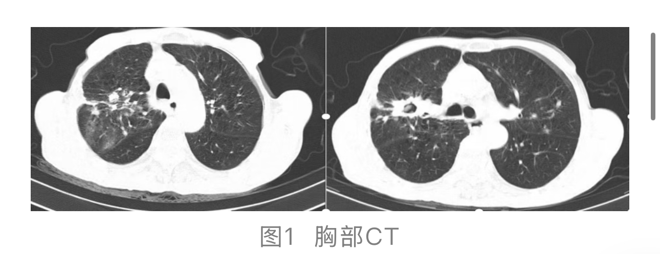 1774247156927977.jpg 1774247156927977.jpg