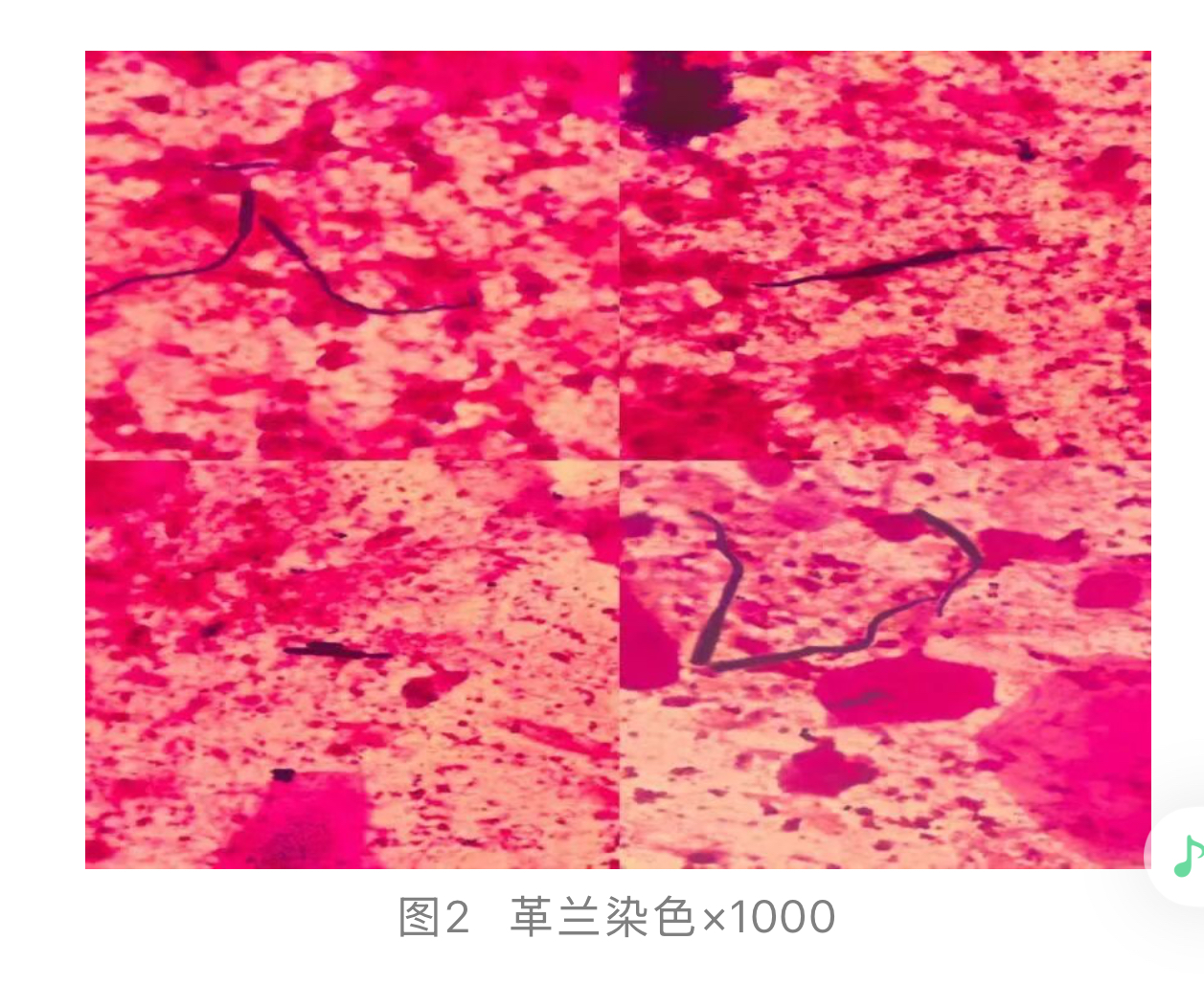 1774247167574709.jpg 1774247167574709.jpg