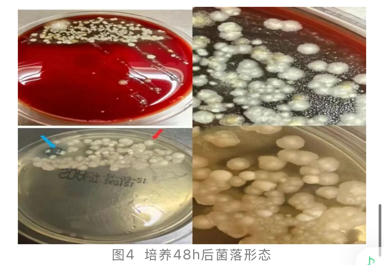 1774247224943149.jpg 1774247224943149.jpg