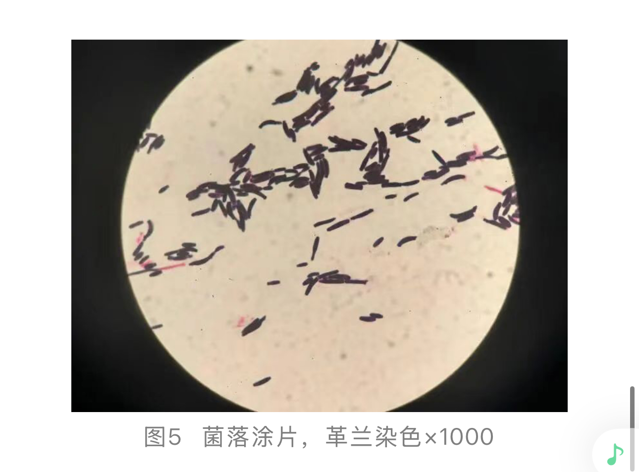 1774247248632178.jpg 1774247248632178.jpg