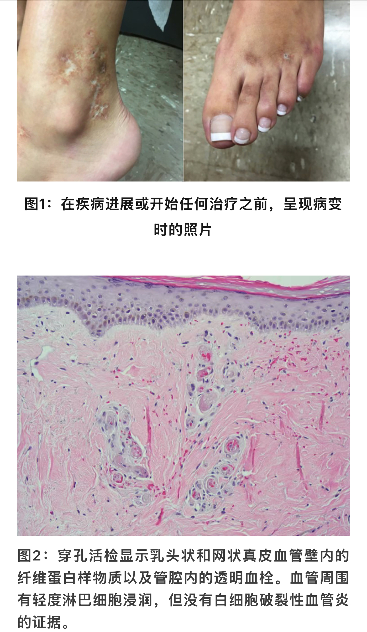 1774335203780178.jpg 1774335203780178.jpg