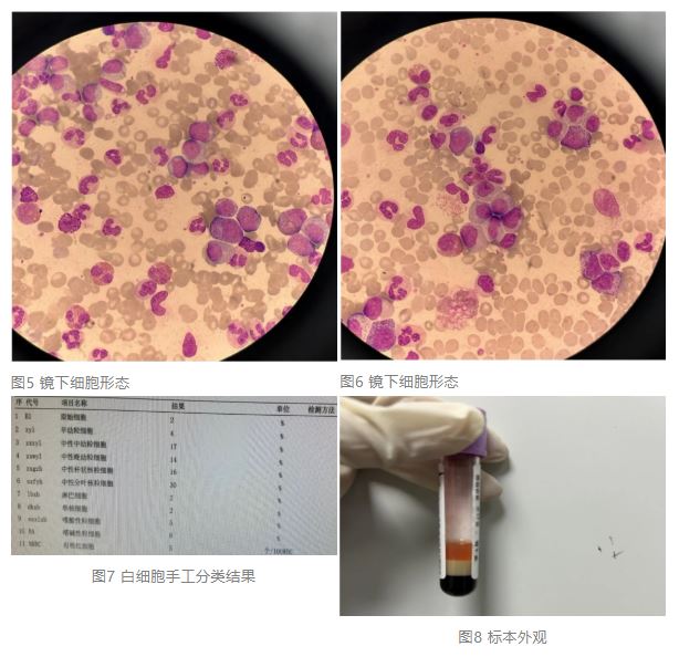 1774406193258192.jpg 1774406193258192.jpg