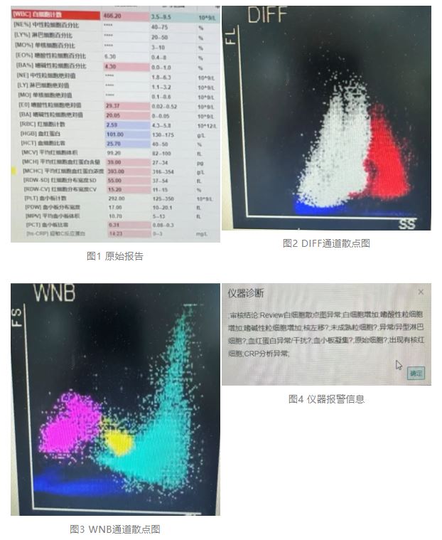 1774406203502299.jpg 1774406203502299.jpg