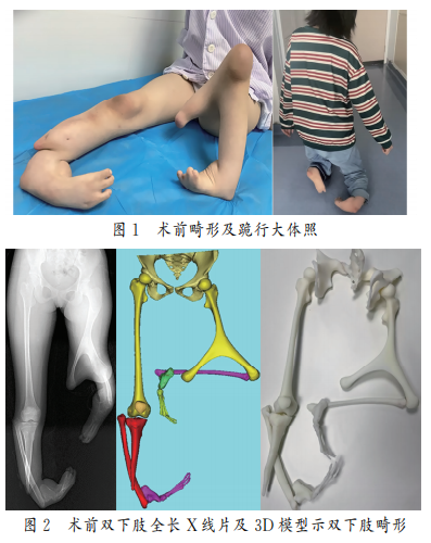 1774416239500834.png 图1.png