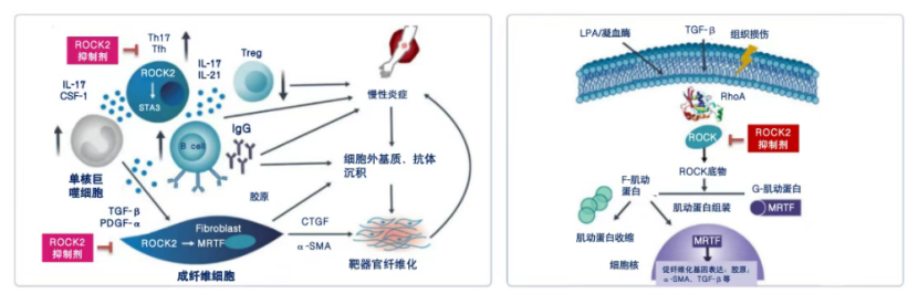 1774578452355026.png image.png