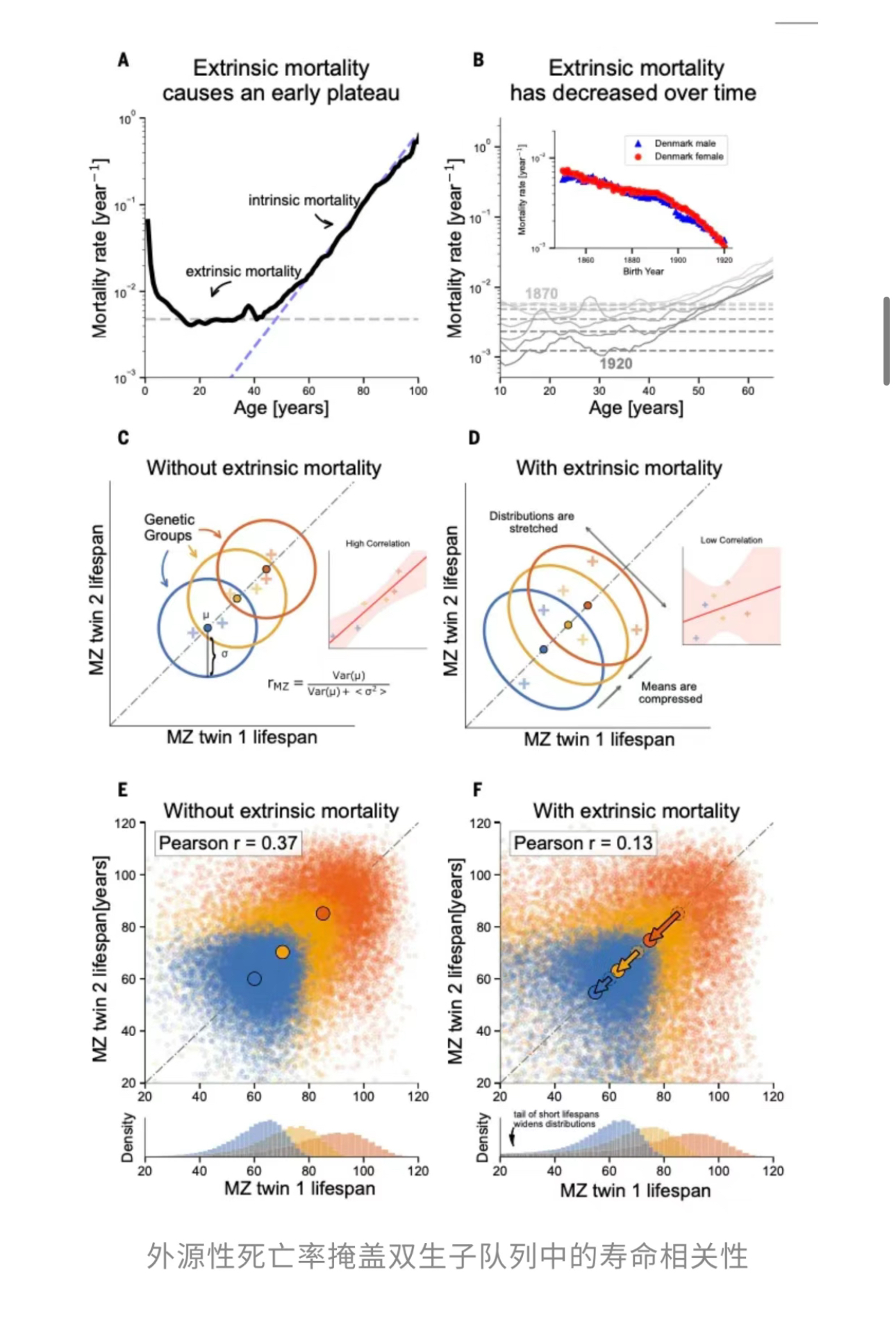 1774593084523582.jpg 1774593084523582.jpg